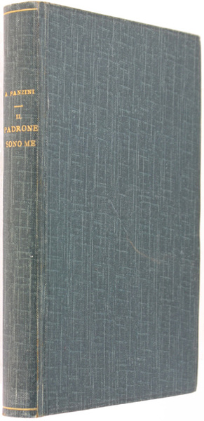 IL PADRONE SONO ME! Romanzo.