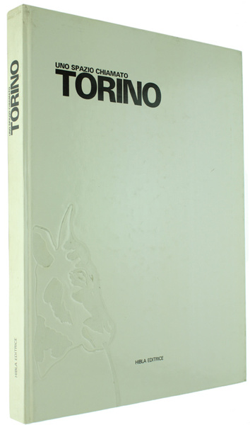 UNO SPAZIO CHIAMATO TORINO.
