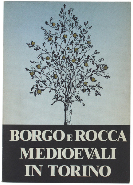 BORGO E ROCCA MEDIOEVALI IN TORINO.