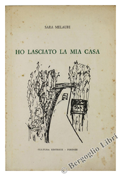 HO LASCIATO LA MIA CASA - appunti di viaggio.