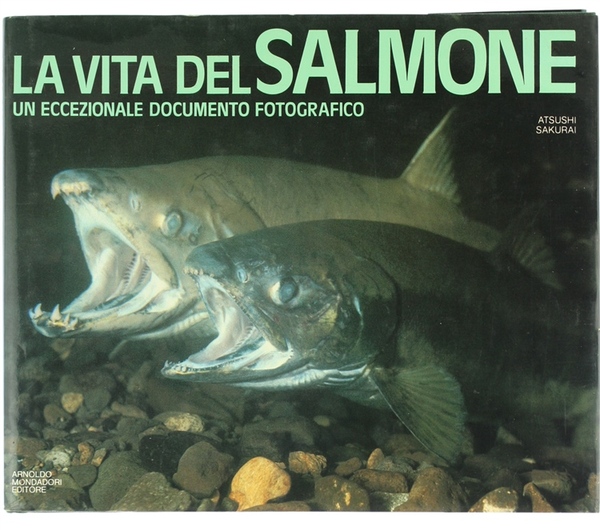 LA VITA DEL SALMONE. Un eccezionale documento fotografico.