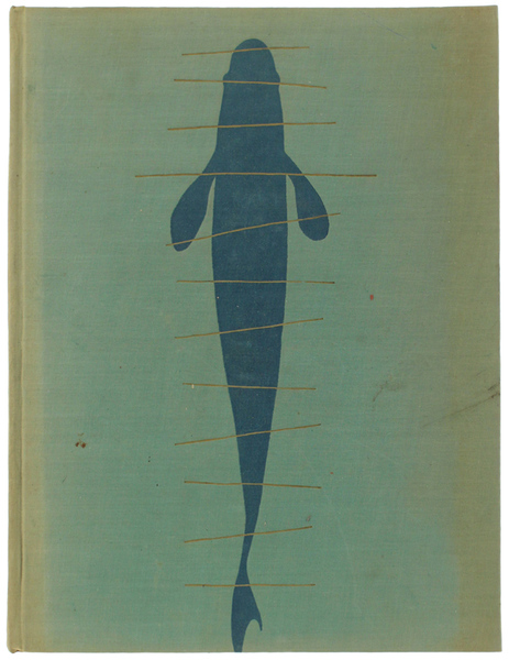 LE GIOIE DELLA PESCA.