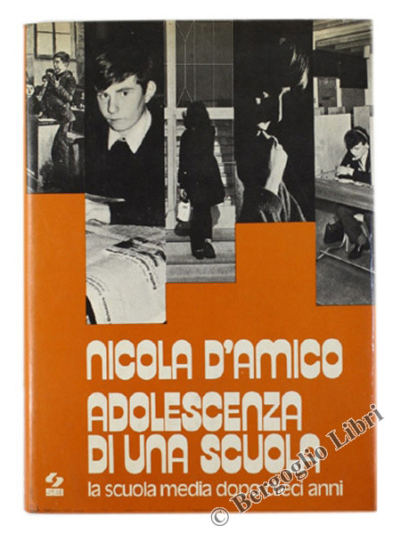 ADOLESCENZA DI UNA SCUOLA. La scuola media dopo dieci anni.