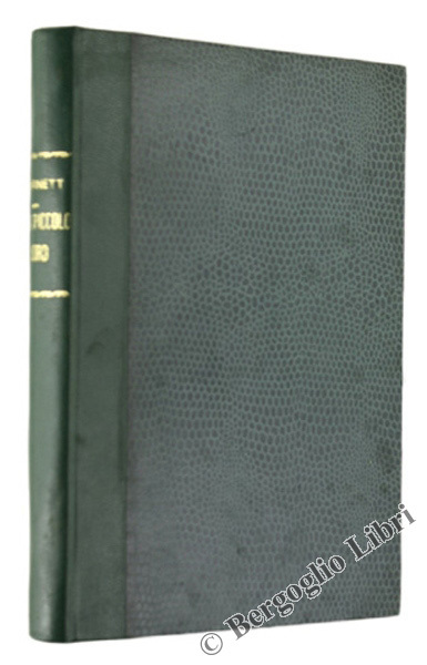 UN PICCOLO LORD Racconto - Disegni del pittore Alberto Micheli.