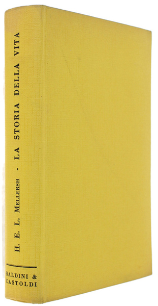 LA STORIA DELLA VITA.