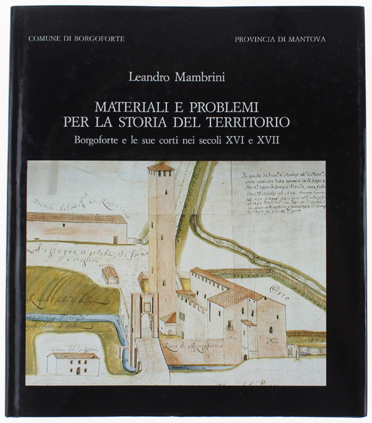 MATERIALI E PROBLEMI PER LA STORIA DEL TERRITORIO. Borgoforte e …