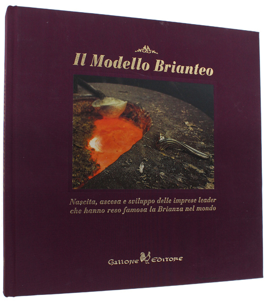 IL MODELLO BRIANTEO. Nascita, ascesa e sviluppo delle imprese leader …