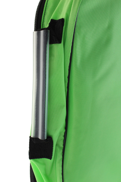 BOLGETTA POSTALE VERDE