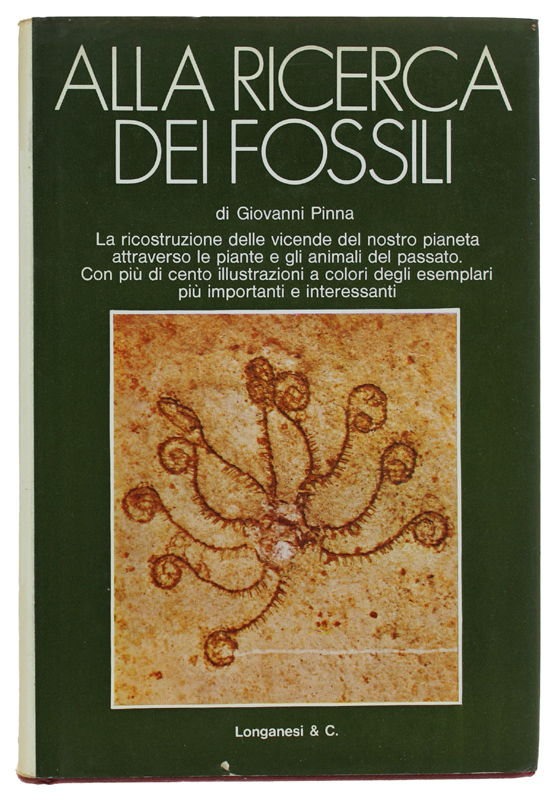 ALLA RICERCA DEI FOSSILI