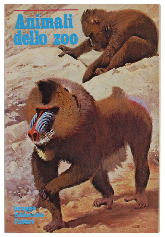 ANIMALI DELLO ZOO Come vivono in natura, come si adattano …