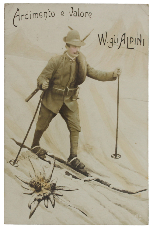 CARTOLINA "ARDIMENTO E VALORE - W. GLI ALPINI"
