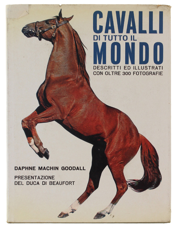 CAVALLI DI TUTTO IL MONDO Atlante illustrato con oltre 320 …