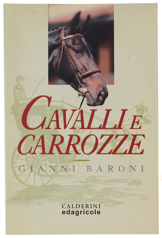 CAVALLI E CARROZZE.