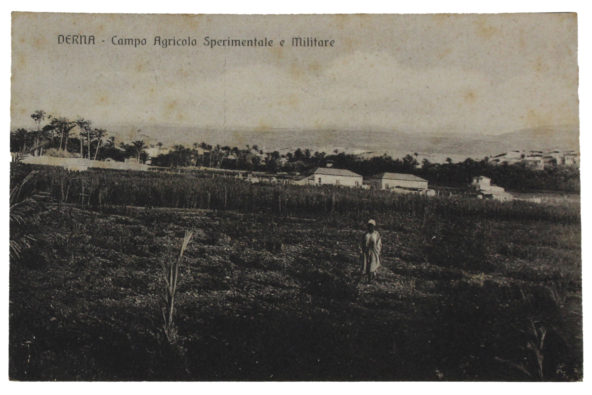 DERNA Campo Agricolo Sperimentale e militare CARTOLINA COLOIALE del 1918