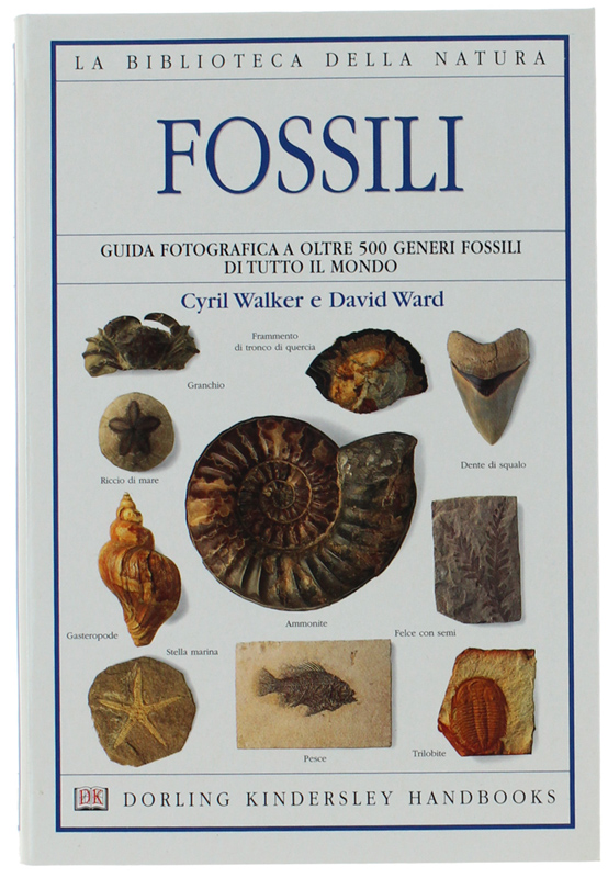 FOSSILI. Guida fotografica a oltre 500 generi fossili di tutto …