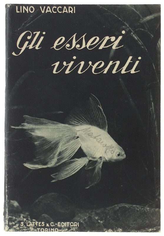 GLI ESSERI VIVENTI Nozioni di anatomia fisiologia e biologia degli …