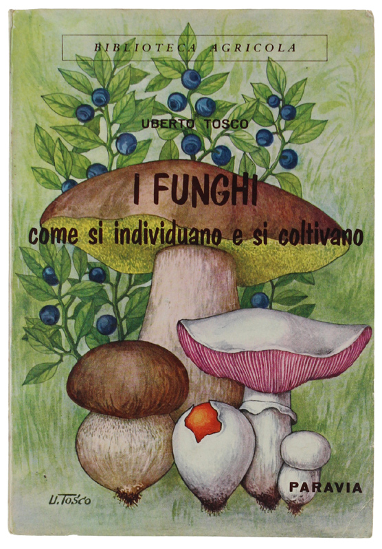 I FUNGHI. COME SI INDIVIDUANO E SI COLTIVANO.