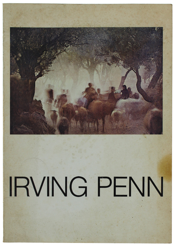 I PLATINI DI IRVING PENN. 25 anni di fotografia