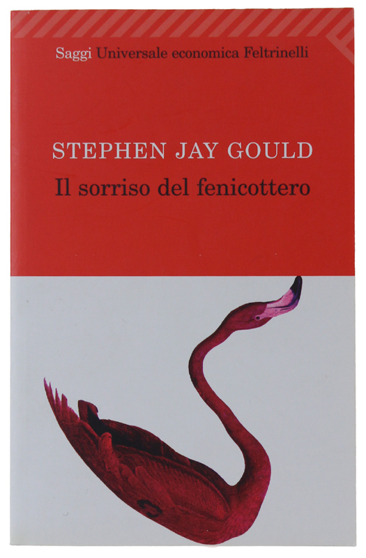 IL SORRISO DEL FENICOTTERO