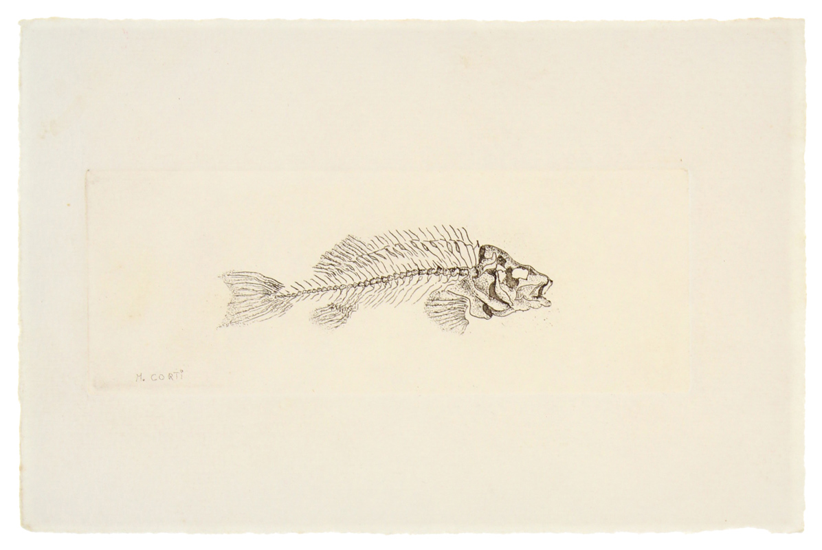 INCISIONE SU RAME "Lisca di pesce"