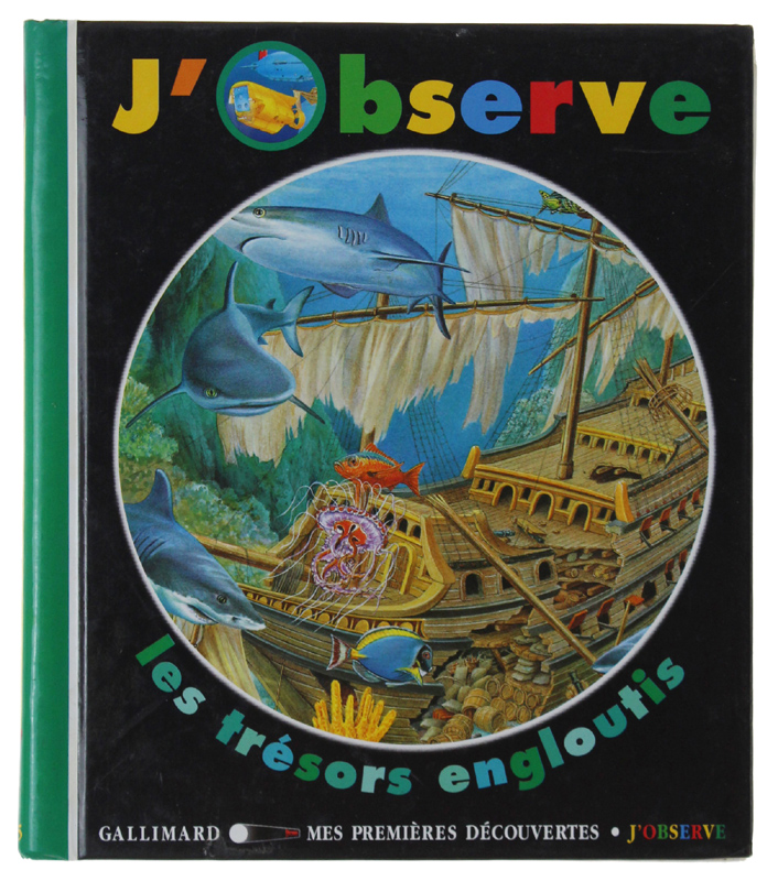 J'OBSERVE LES TRÉSORS ENGLOUTIS