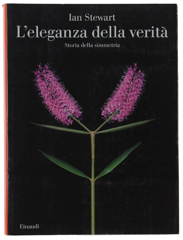 L'ELEGANZA DELLA VERITÀ. Storia della simmetria