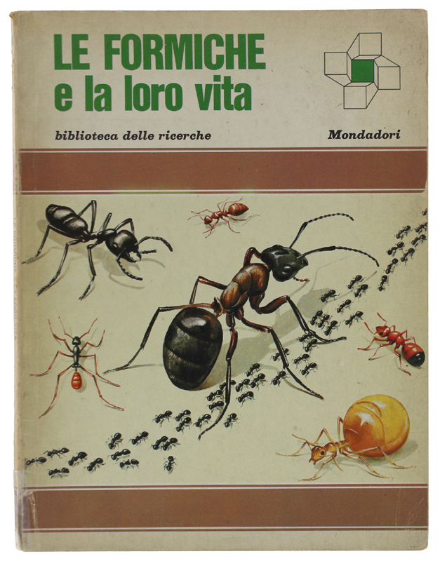 LE FORMICHE LA LORO VITA