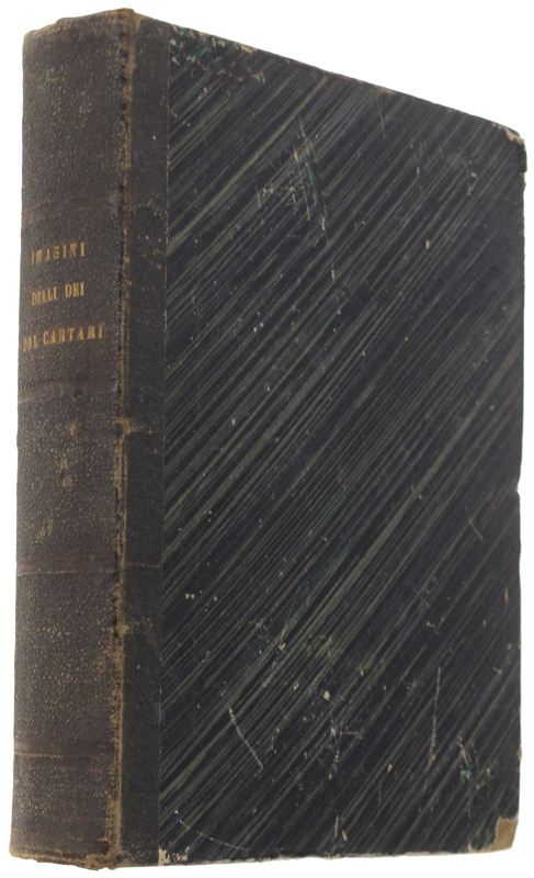 LE VERE E NOVE IMAGINI DE GLI DEI DELLI ANTICHI …