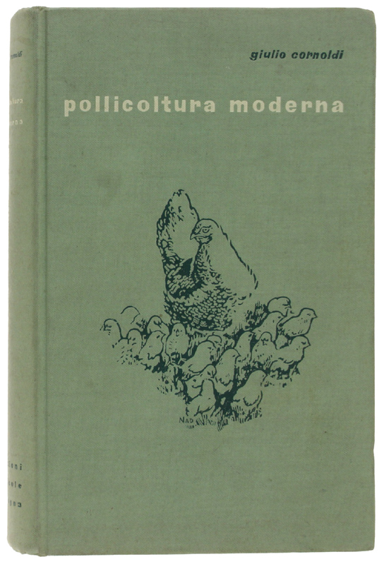 POLLICOLTURA MODERNA.