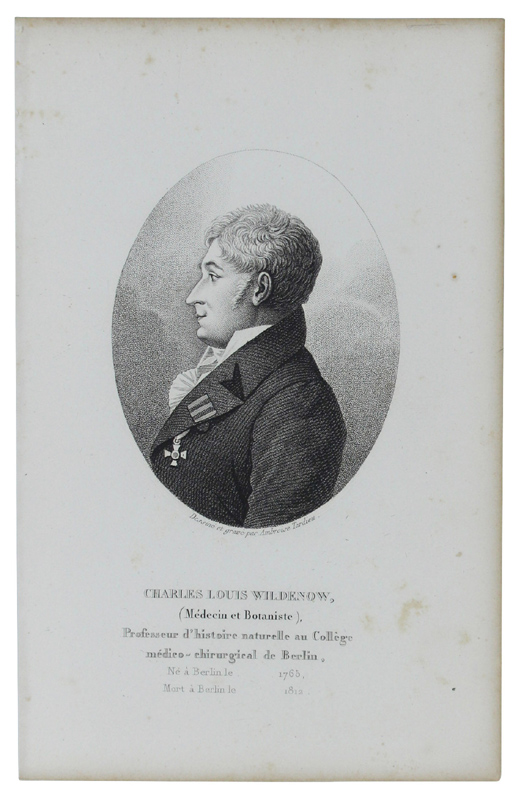 CHARLES LOUIS WILDENOW (Médecin et Botaniste) 1765-1812. Gravure sur acier …