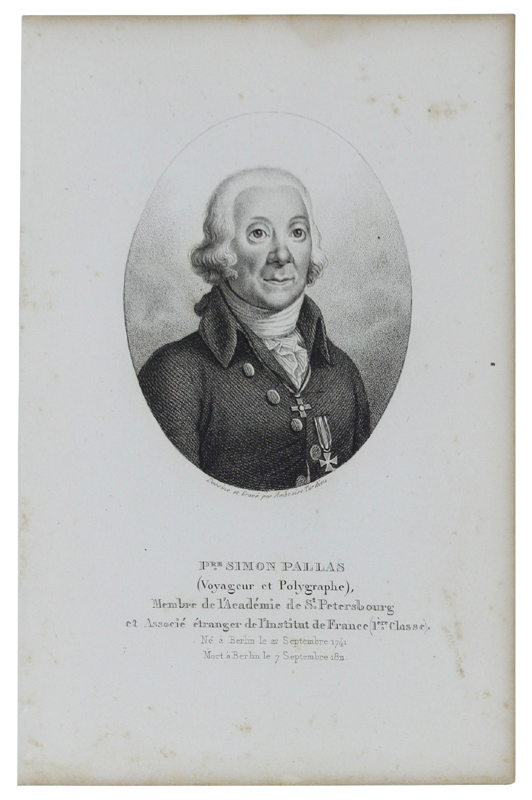 P.RE SIMON PALLAS (Voyageur et Polygraphe) 1741-1811. Gravure sur acier …