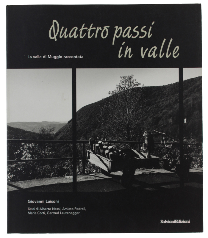 QUATTRO PASSI IN VALLE. La valle di Muggio vista da …