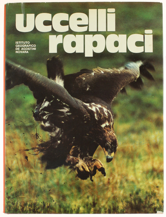 UCCELLI RAPACI.