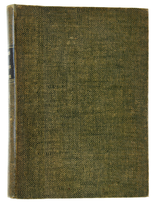 UN INCROCIATORE NELLA RIVOLUZIONE (agosto 1918 - giugno 1919)