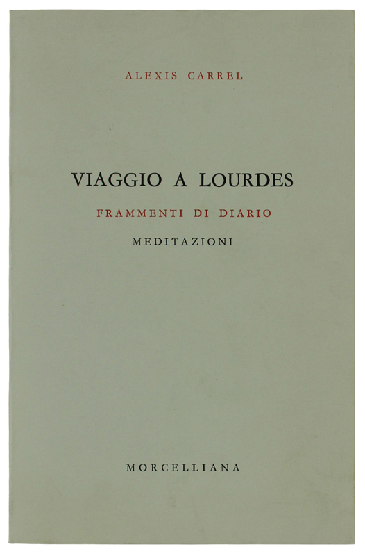 VIAGGIO A LOURDES. Frammenti di diario. Meditazioni.