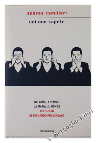 VOI NON SAPETE. Gli amici, i nemici, la mafia, il …