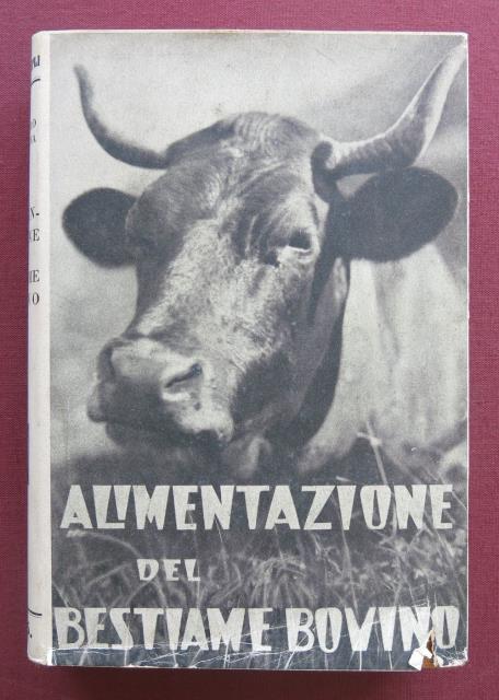 Alimentazione del bestiame bovino. Alimentazione razionale dei bovini da latte. …