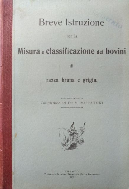 Breve istruzione per la misura e classificazione dei bovini di …