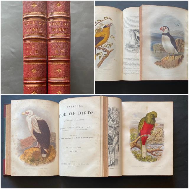 Cassel’s Book of Birds. From The text of Dr. Brehm.