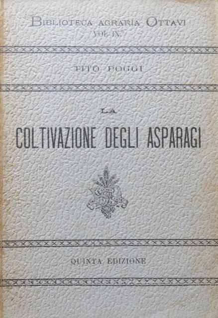 Coltivazione degli asparagi.