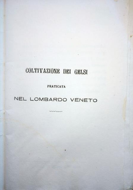 Coltivazione dei Gelsi praticata nel Lombardo Veneto. Metodo usato per …