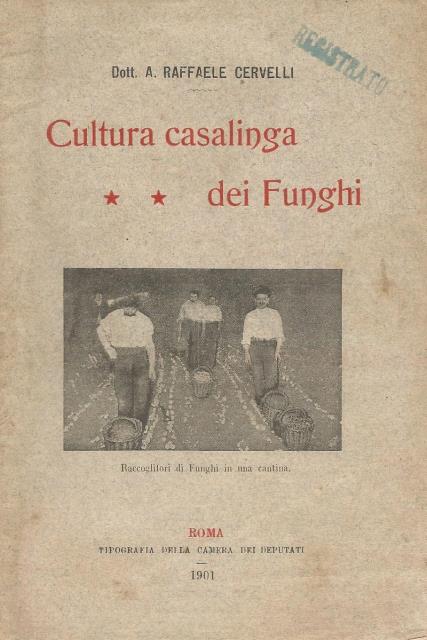 Cultura casalinga dei funghi.