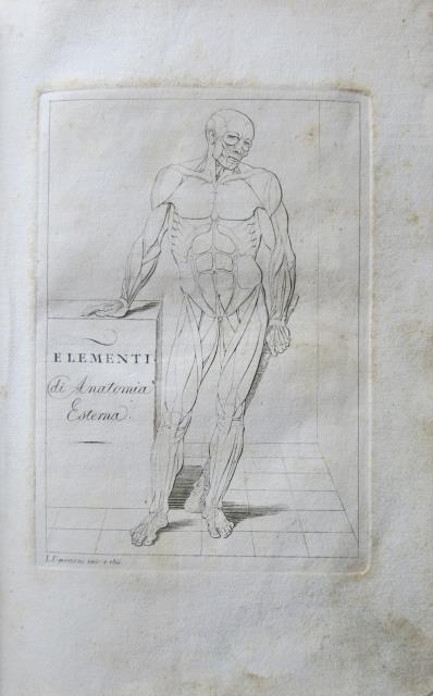 Elementi di anatomia esterna.