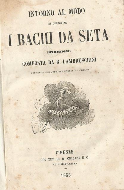 I bachi da seta. Intorno al modo di custodire i …