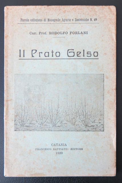 Il Prato Gelso.