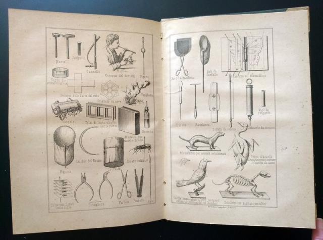 Il Raccoglitore naturalista. Guida pratica per raccogliere, preparare, conservare i …
