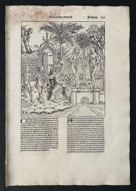Liber Chronicarum. Il peccato originale.