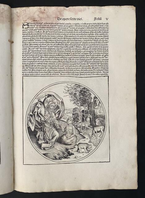 Liber Chronicarum. La creazione e benedizione dell'uomo. Dio Padre crea …