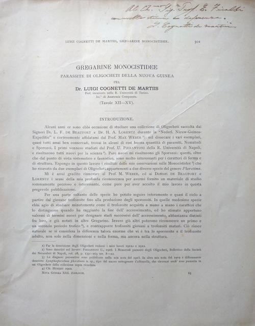 Nova Guinea. Résultats de l'Expédition Scientifique Nèerlandaise à la Nouvelle …