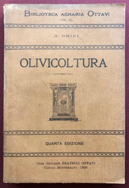 Olivicoltura.